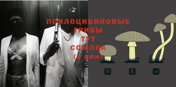 spice Беломорск