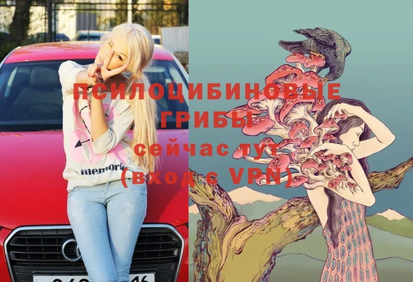 скорость Белокуриха