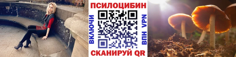 Псилоцибиновые грибы мицелий  Горняк 